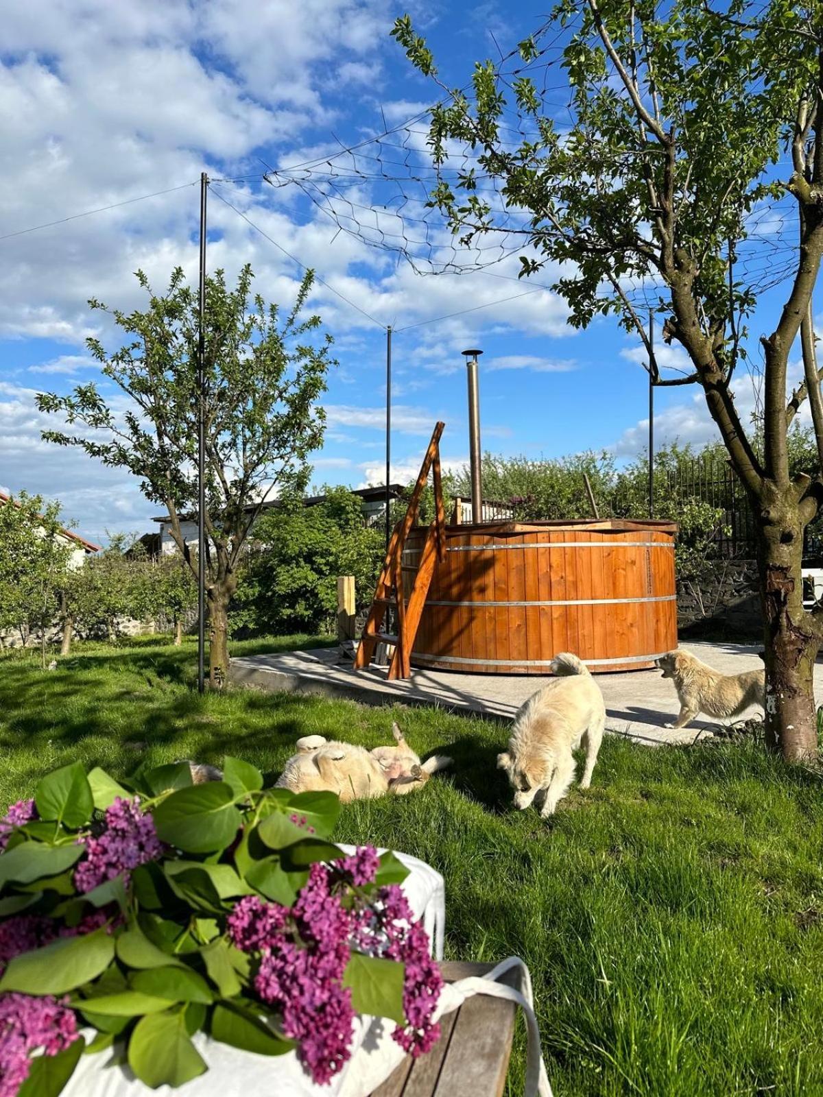 Casa Din Deal Сібіу Екстер'єр фото
